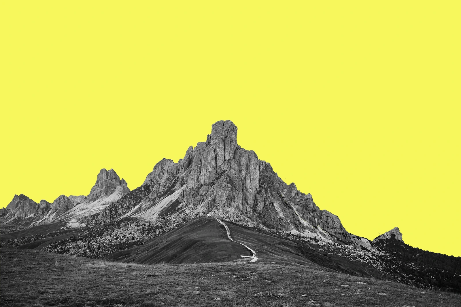 Foto header inicio Acción CEO